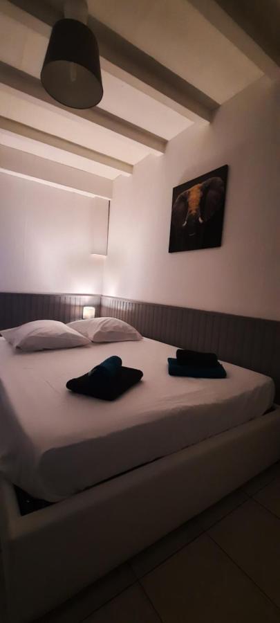 Le Telly-Centre Ville-Petits Prix-Ideal Pour Rayonner Sur La Ville Carcassonne Eksteriør bilde